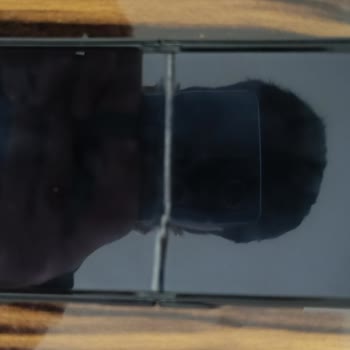 Yüksek Ücretli Telefonun Ekran Sorunu Hayal Kırıklığı Yarattı