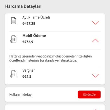İzinsiz Başlatılan Abonelikler Ve Güvenlik Endişesi