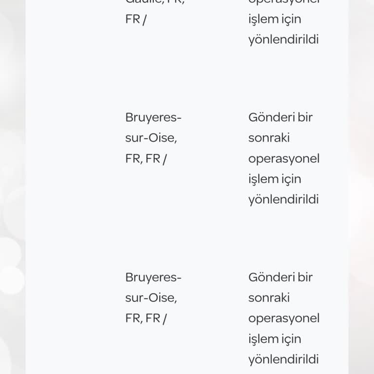 Kayıp Kargo: Teslim Edilmedi, İzlenemiyor