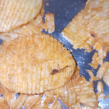 Ruffles Gece Yarısı Cips Keyfi Böcekle Kabusa Döndü