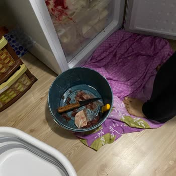 Derin Dondurucu Mağduriyeti: Acil Çözüm Bekliyorum