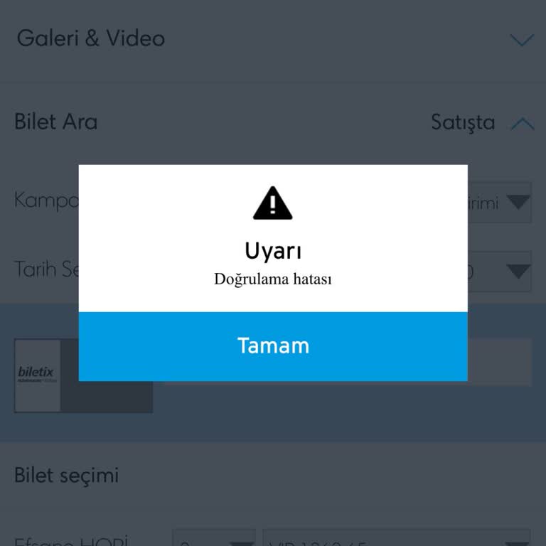 Biletix'te Hopi İndirimi Sorunu