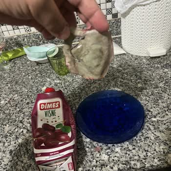 Dimes Meyve Suyunda Küflenmiş Cisim Şoku