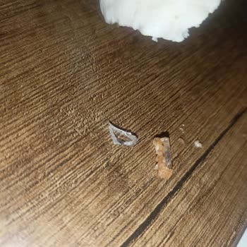 Çiğköfte İçinden Cam Çıktı, Sağlığım Tehlikede