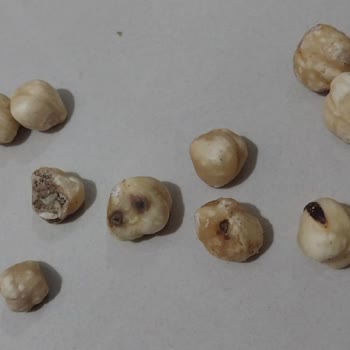 Kurtlu Fındık Şoku: Çocuğumun Favorisi Artık Yasaklı!