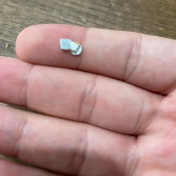 Dana Sucuğunda Tehlikeli Yabancı Madde