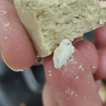 Helvada Beklenmedik Yabancı Madde Şoku