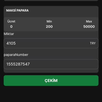 No2bet Sitesinde Çekim Sorunları Ve Destek Hattı İletişimsizliği