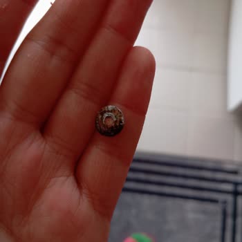 Köfteci Yusuf'tan Gelen Tehlikeli Sürpriz: Metal Parçalı Sucuk