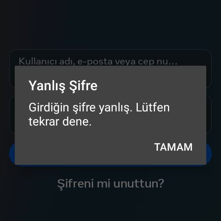 Instagram Hesabına Erişim Sorunu