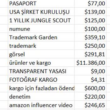 E-Girişimci Danışmanlık Yanıltmacası: Hayallerim Ve Sermayem Yok Oldu