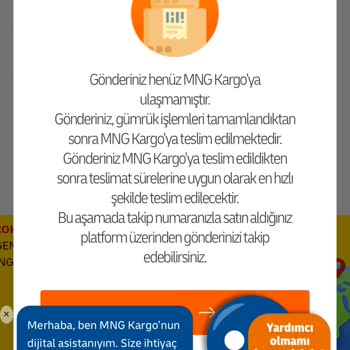 Kayıp Kargo: MNG Kargo Edirne Şubesinde Teslim Edilen Ürün Hala Ulaşmadı
