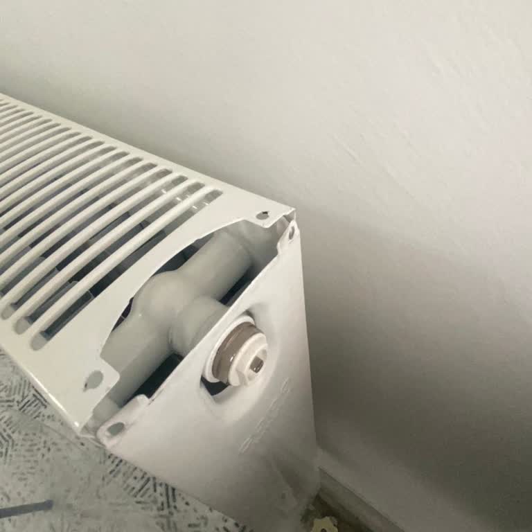 Petek Kapaklarının Kırılması Ve Çatlaması