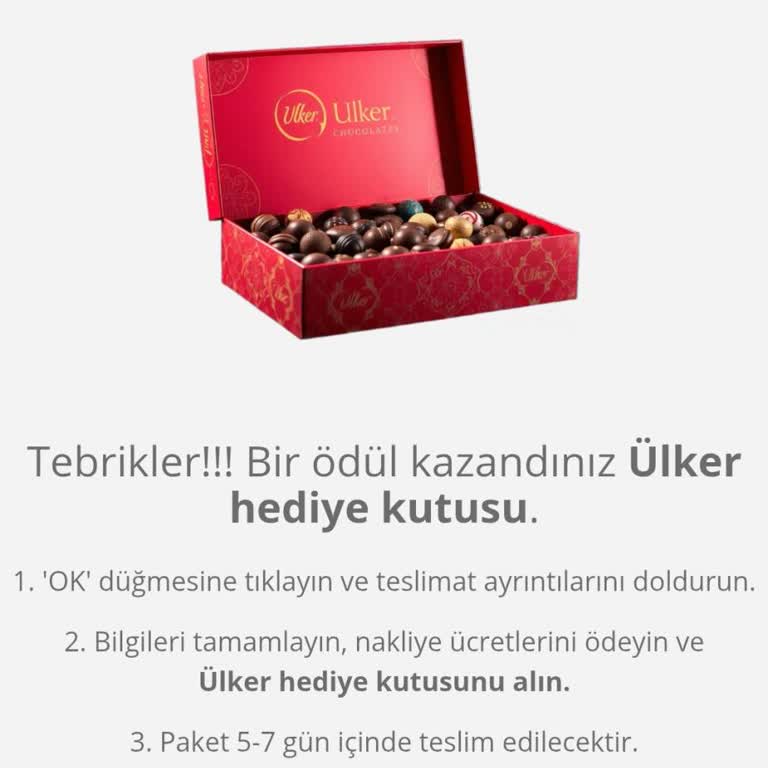 Sahte Web Sitesi Kampanyasının Güvenilirliği Hakkında Şüpheler