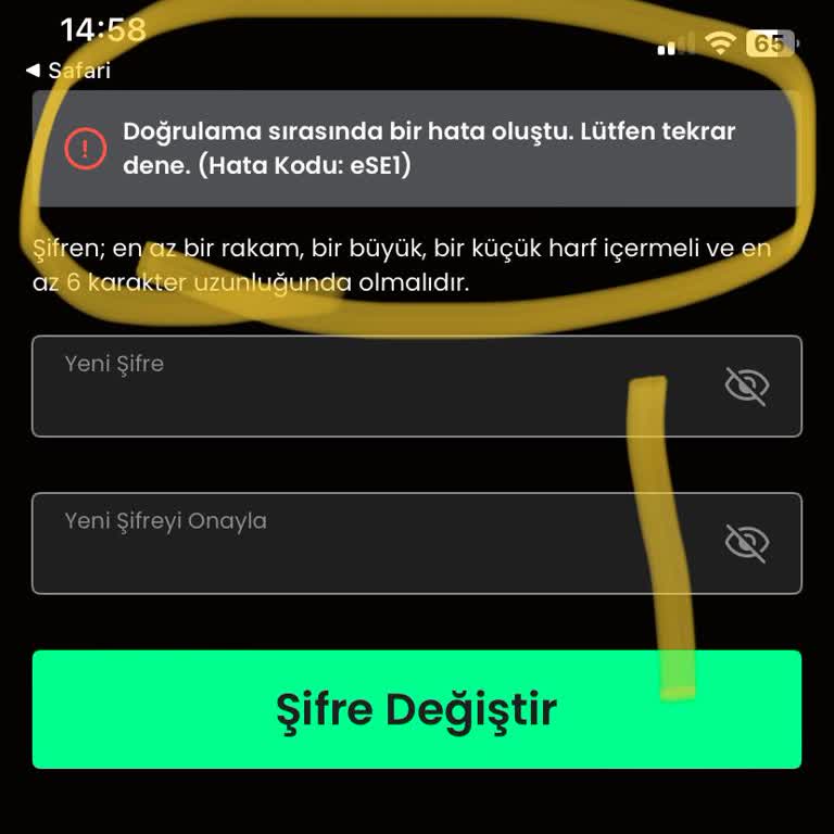 Hesap Erişim Sorunu: Acil Destek Ve Ücret İadesi Talebi