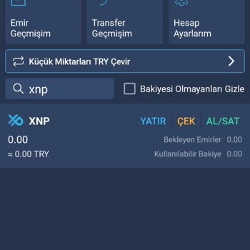 Bitexen Hesabımda Beklenmedik Bakiye Sıfırlanması Ve Güvenlik Endişesi