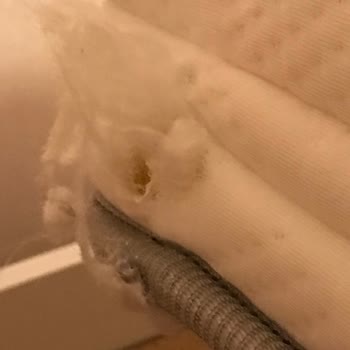 Yatak Kurulum Hatası Ve İlgisiz Müşteri Hizmeti