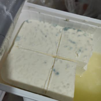 Son Kullanma Tarihi Geçmeden Bozulan Peynir Şoku