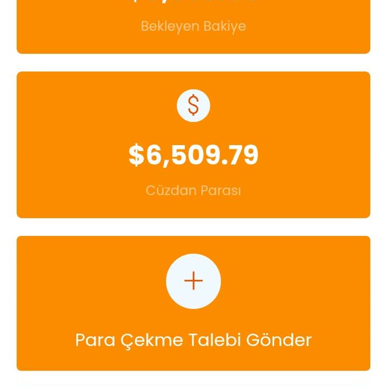 Alibaba Mağaza Kapatılması Ve Borç Krizi