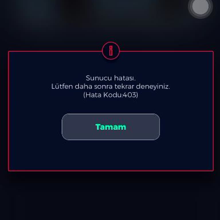 Fiat Yol Arkadaşım Uygulaması: Çözülmeyen Sunucu Hatası Ve Müşteri Hizmetleri Sorunu