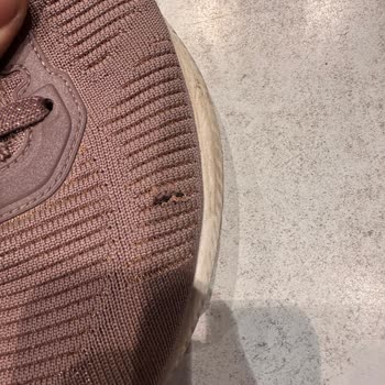 Skechers Ayakkabıda Erken Yıpranma Ve Müşteri Hizmetleri Sorunu