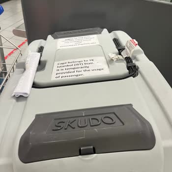 THY Uçuşunda Köpeğimin Box'ının Kırılması Ve Yetersiz Müşteri Hizmetleri