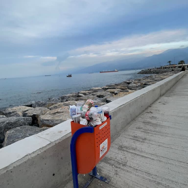 Deprem Sonrası Denizdeki Kötü Koku Tehlikesi