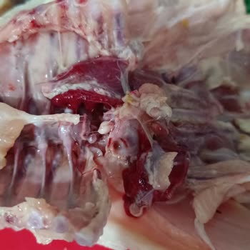 BİM'den Aldığım Tavuk Hayal Kırıklığı Yarattı