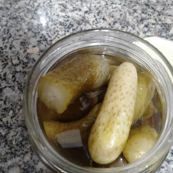 Bozuk Fıçı Marka Salatalık Turşusu