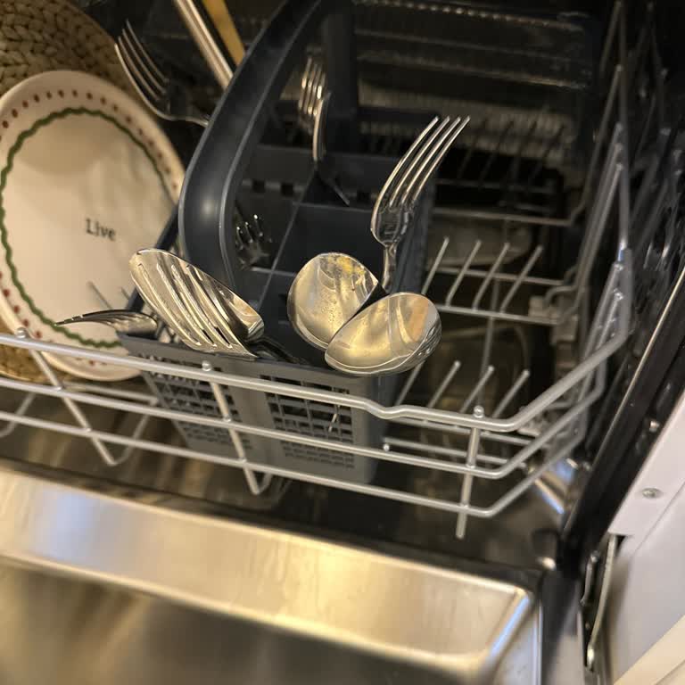 Arçelik Bulaşık Makinesi Değişim Sürecindeki Sorunlar