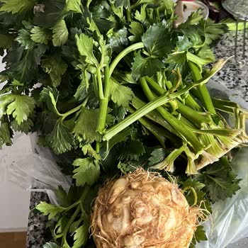 Organik Kereviz Paketleme Şikayeti