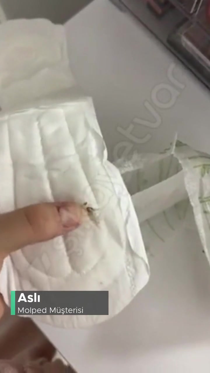 Molped Pedin İçinden Kahverengi Bir Şey Çıktı Sert videonun kapak resmi