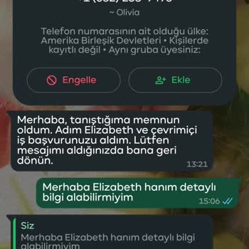 Allegro CC Üzerinden Yanıltıcı Görev Ve Para Talebi