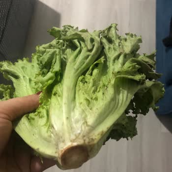 A101'den Gelen Kalitesiz Ürün Şikayeti