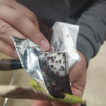 Küflü Meyve Barı Ve Sağlık Tehdidi