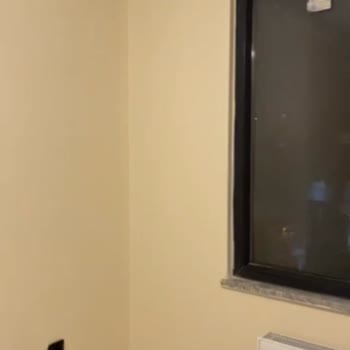 Polisan Elegans Renk Kartelası Yanıltıyor