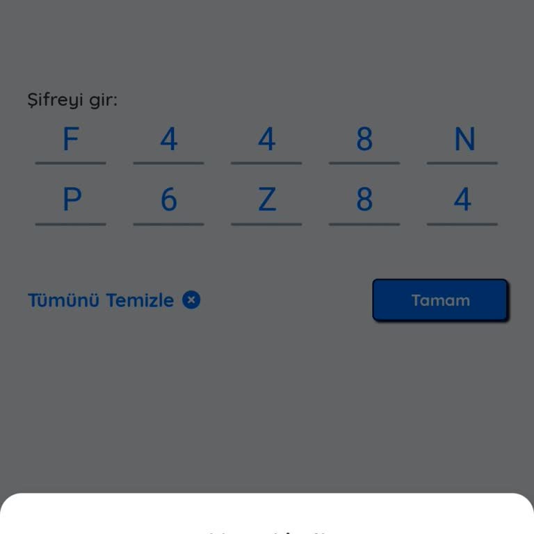 Kampanya Kodu Sorunu: Lays Cips Uygulaması