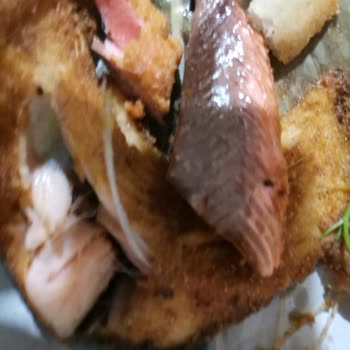 Somon Balığı Hayal Kırıklığı: Çöp Balıklar