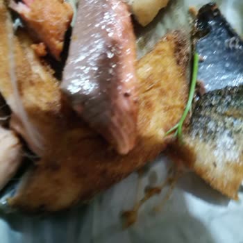 Somon Balığı Hayal Kırıklığı: Çöp Balıklar