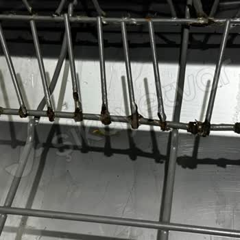 Franke Bulaşık Makinesi Rafları Çürüdü Acil Yardım Bekliyorum