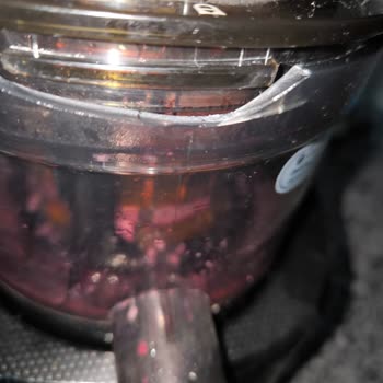 Kuvings 830 Revo Meyve Sıkacağında Yaşanan Hayal Kırıklığı