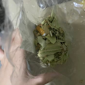 Hijyen Ve Denetim Eksikliği: Paketlerden Çıkan İzmaritler