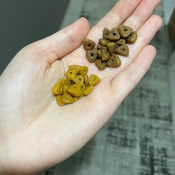 Kedim 'Yenilenen Lezzet' Mamayı Reddetti