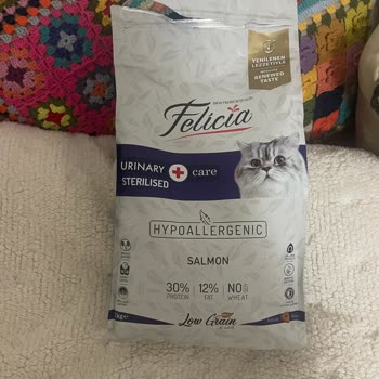 Kedim 'Yenilenen Lezzet' Mamayı Reddetti