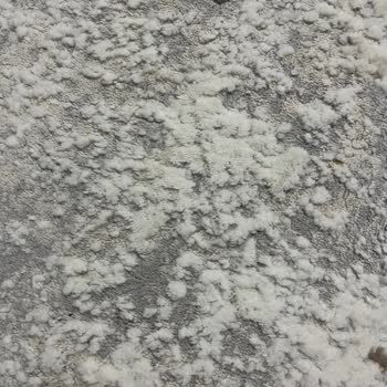 Bosch Süpürge Halımı Mahvetti, Çözüm Bekliyorum