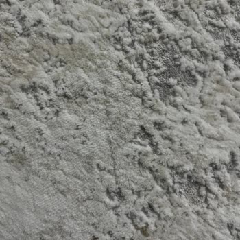 Bosch Süpürge Halımı Mahvetti, Çözüm Bekliyorum