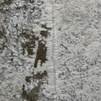 Bosch Süpürge Halımı Mahvetti, Çözüm Bekliyorum