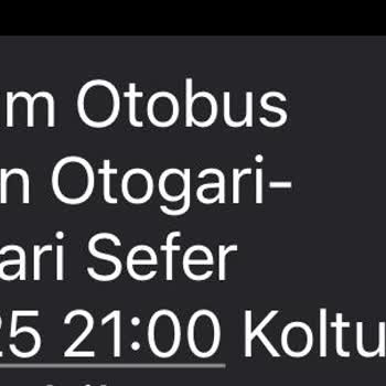 Yanlış Koltuk Ve Kırık Koltukla Yolculuk Çilesi