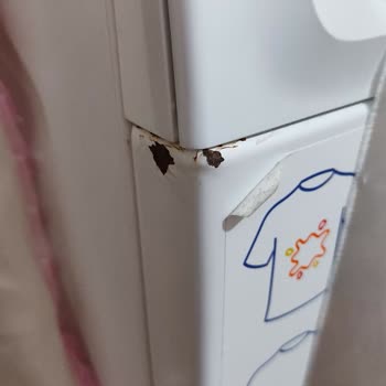 Profilo Çamaşır Makinesi: Paslanma Sorunu Ve Müşteri Hizmetleri Hayal Kırıklığı