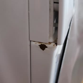 Profilo Çamaşır Makinesi: Paslanma Sorunu Ve Müşteri Hizmetleri Hayal Kırıklığı